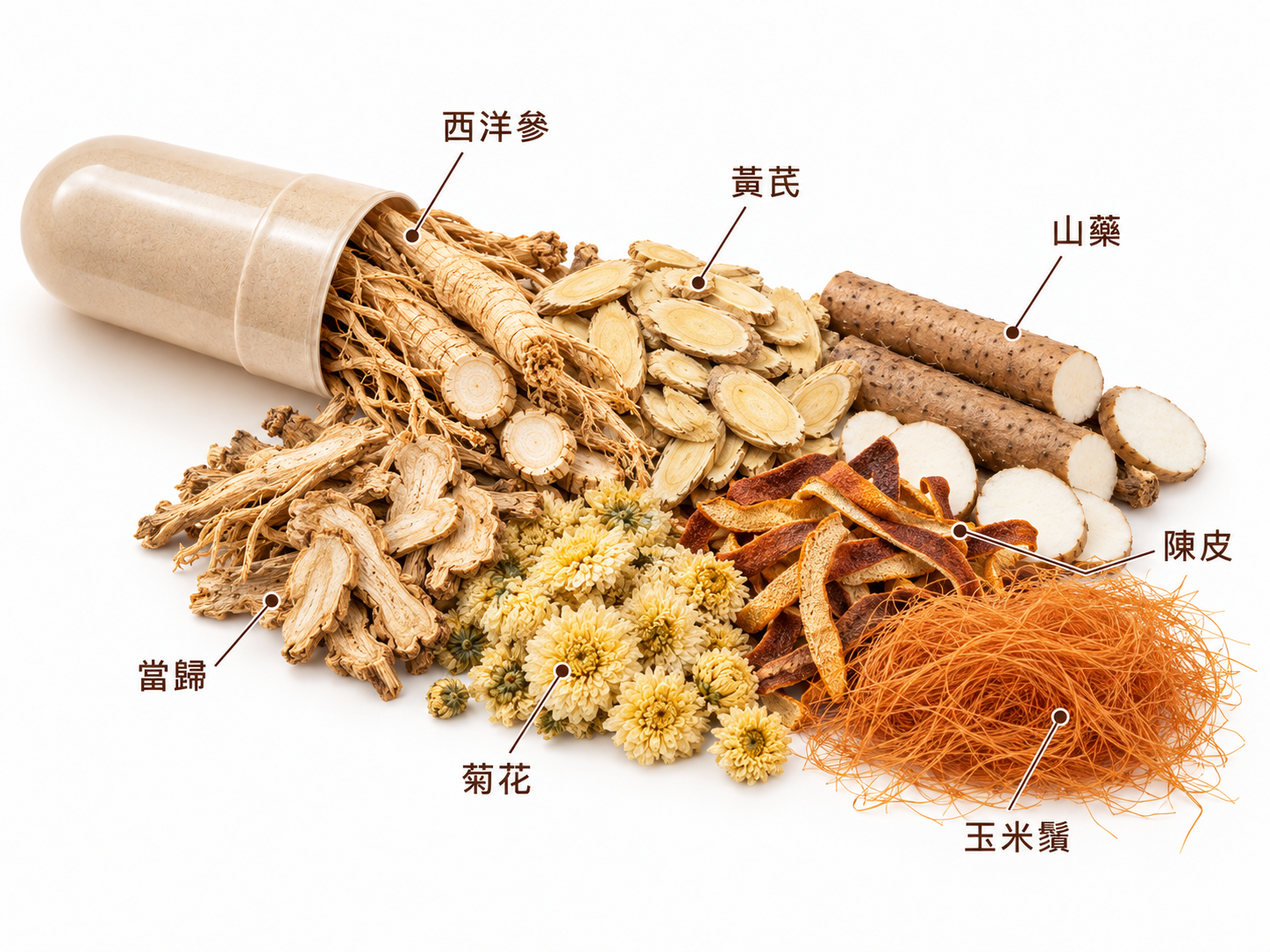黑膏滋胶囊七味草本标注图:西洋参、黄芪、山药、当归、陈皮、菊花、玉米须
