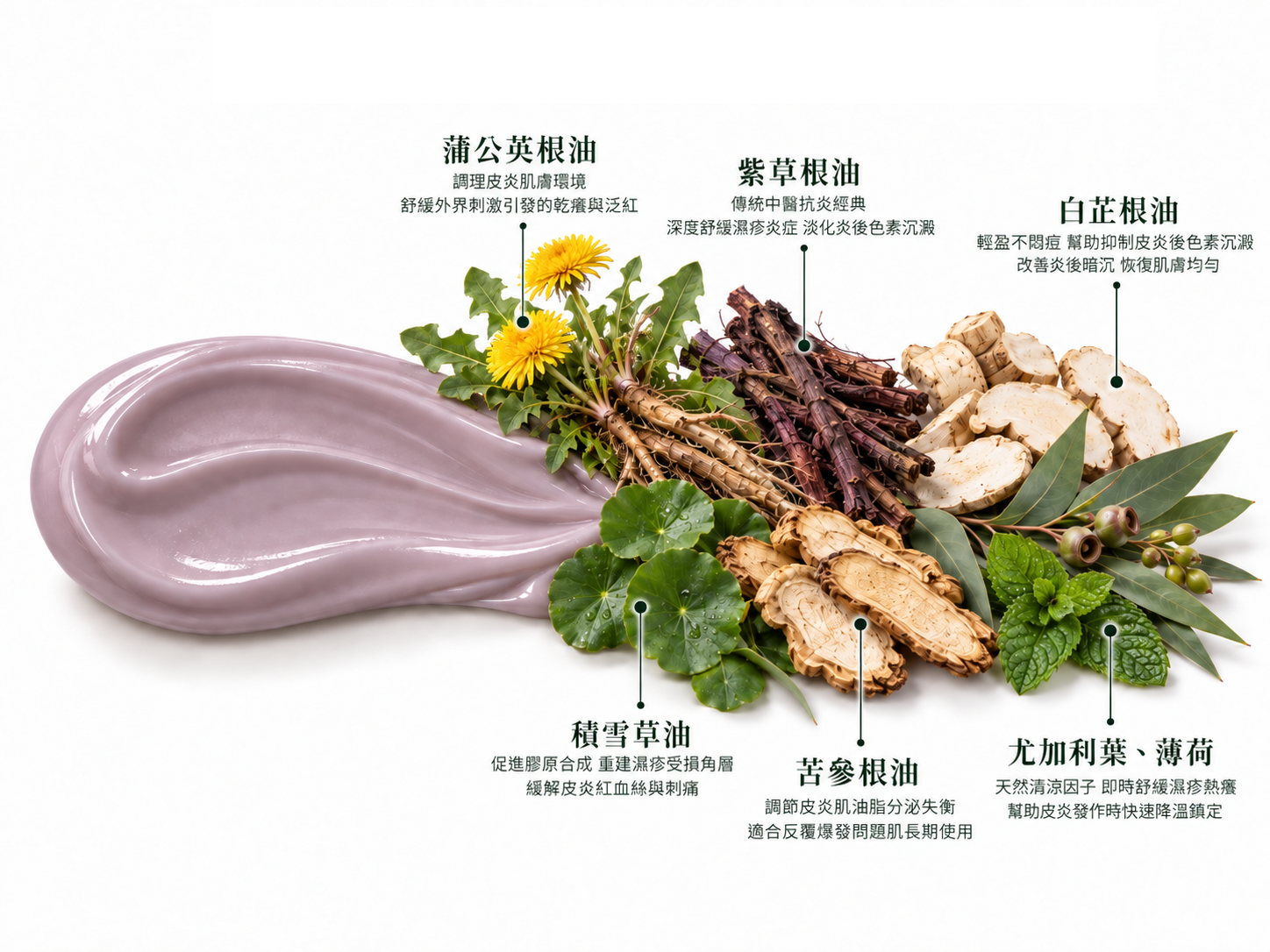 草本舒緩修護霜成分標註圖:蒲公英根油、紫草根油、白芷根油、積雪草油、苦參根油、尤加利葉、薄荷